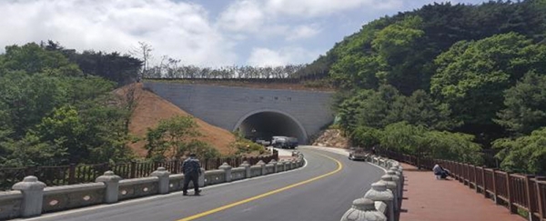'팔공산 생태통로' 야생생물 이동권 보장 및 서식환경 개선