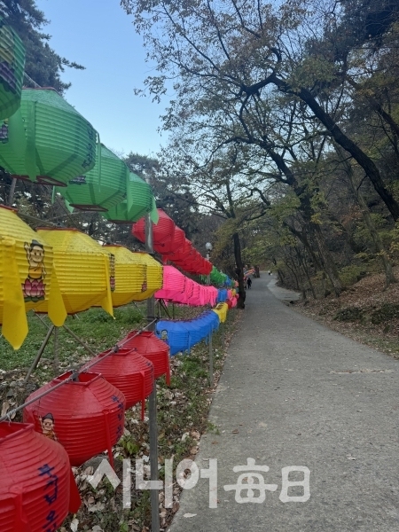 영천 은해사 보화루에서 차(茶)를 마시다